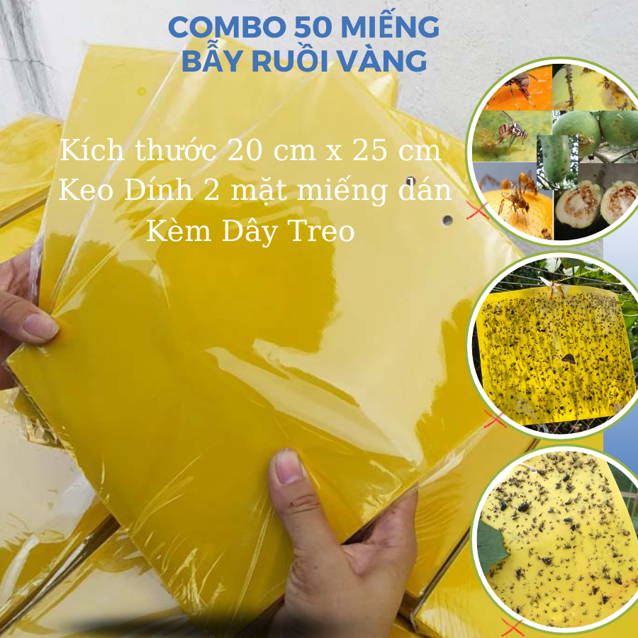 Xấp 50 miếng dán bẫy ruồi vàng, côn trùng, kích thước 20 x25cm keo dính hai bên