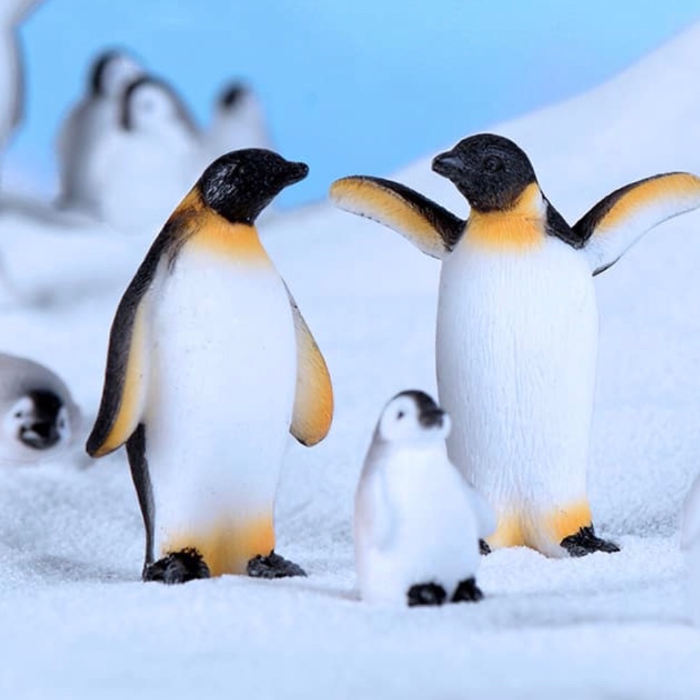 Chim cánh cụt trang trí tiểu cảnh