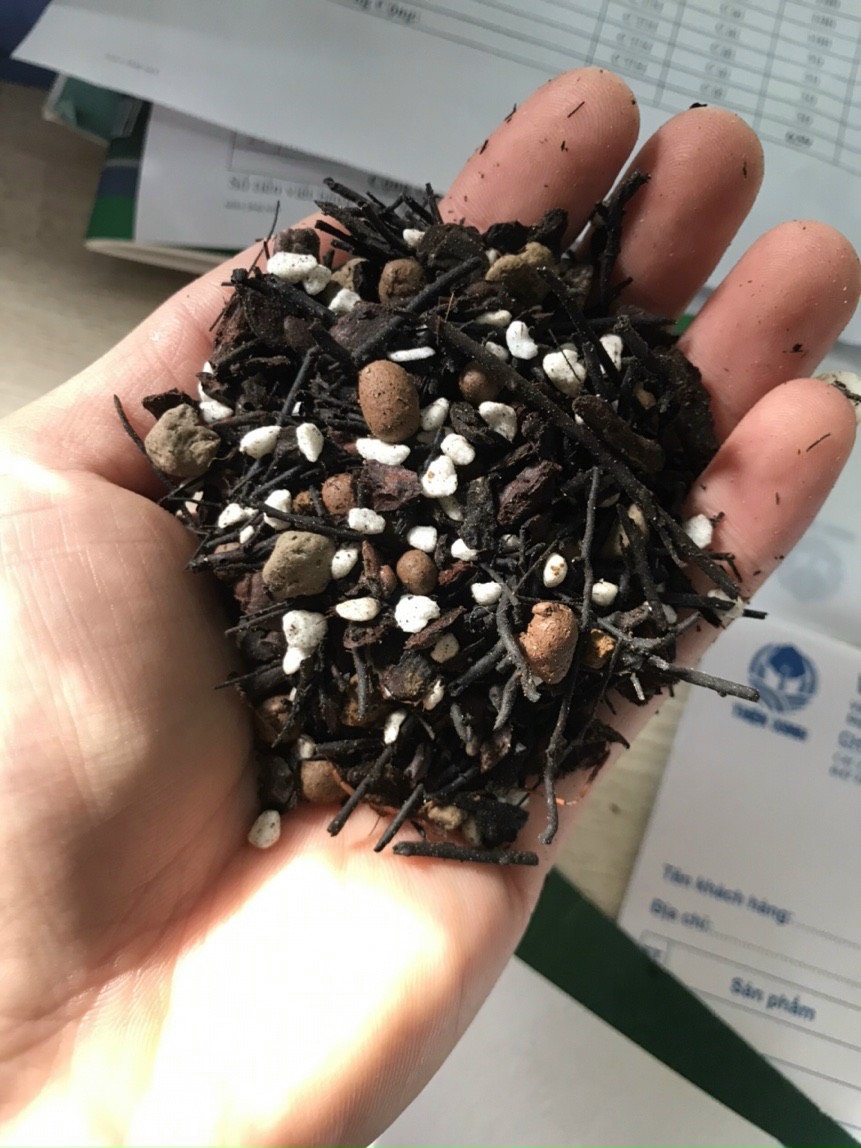 vỏ thông trồng lan trộn sẵn, gia thể trồng lan cao cấp