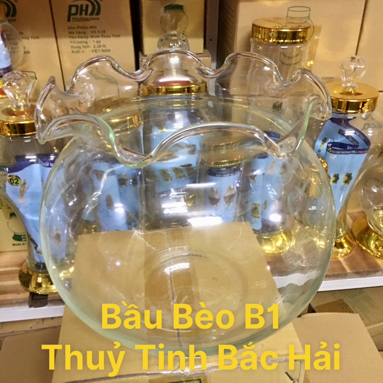 [HCM]BÌNH THỦY TINH NUÔI CÁ ĐỂ BÀNCHẬU CÁ THỦY TINH MINIBÌNH THỦY TINH TRỒNG CÂY THỦY SINH MẪU B1
