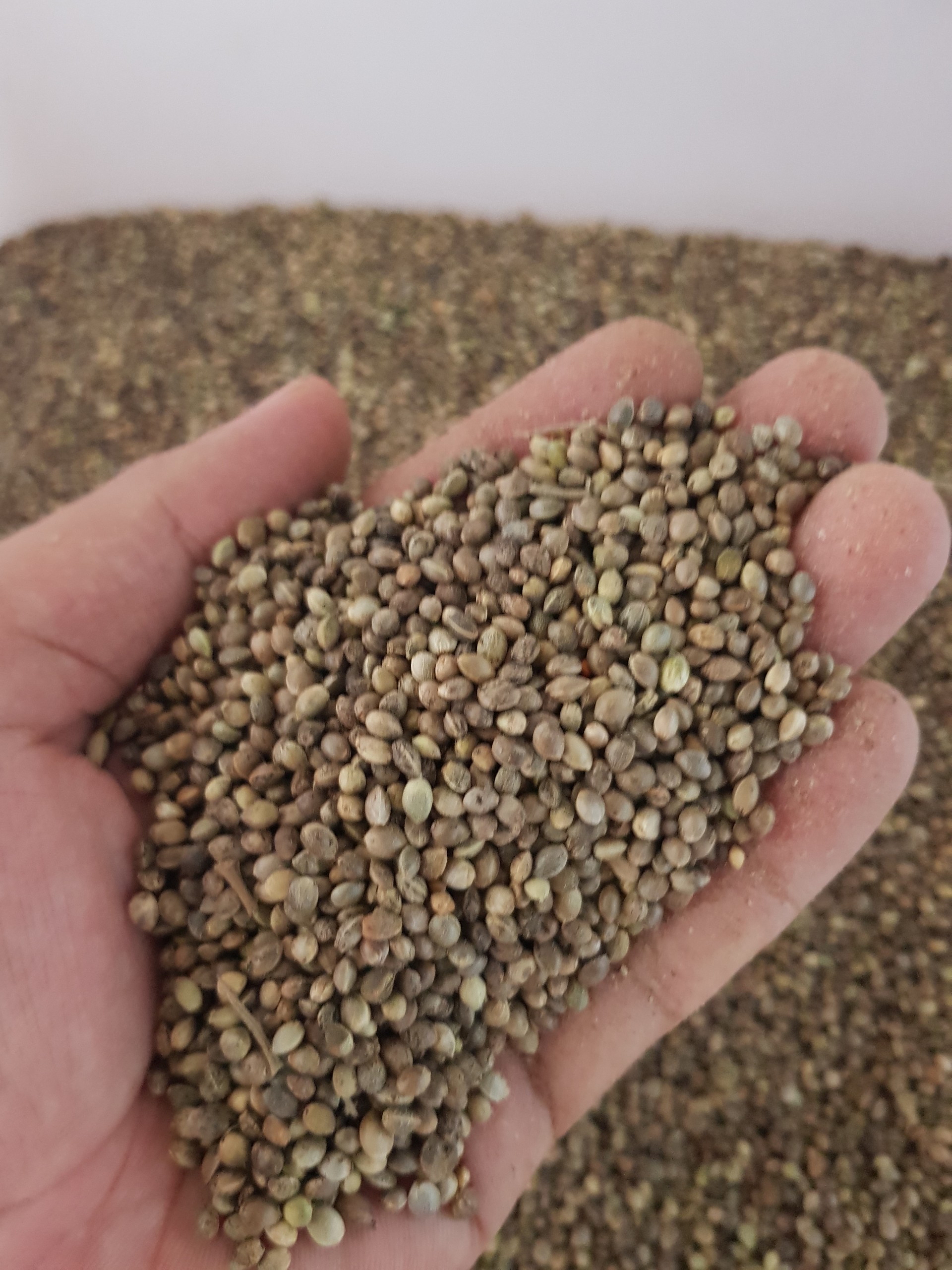 Hạt láng tròn cho gà, vẹt, hamster gói 100g