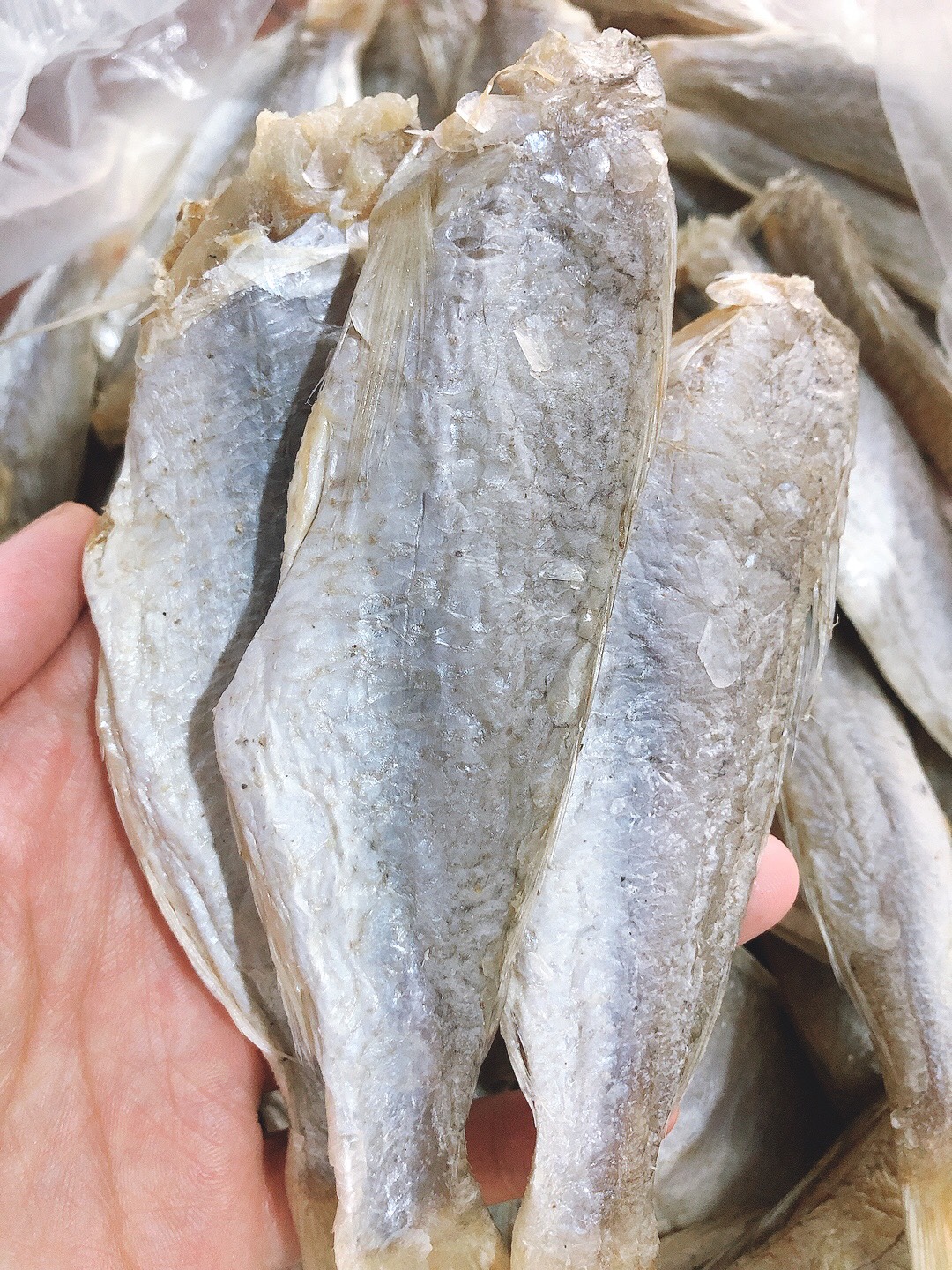 - cá phèn héo/ cá đù khô héo ướp mặn