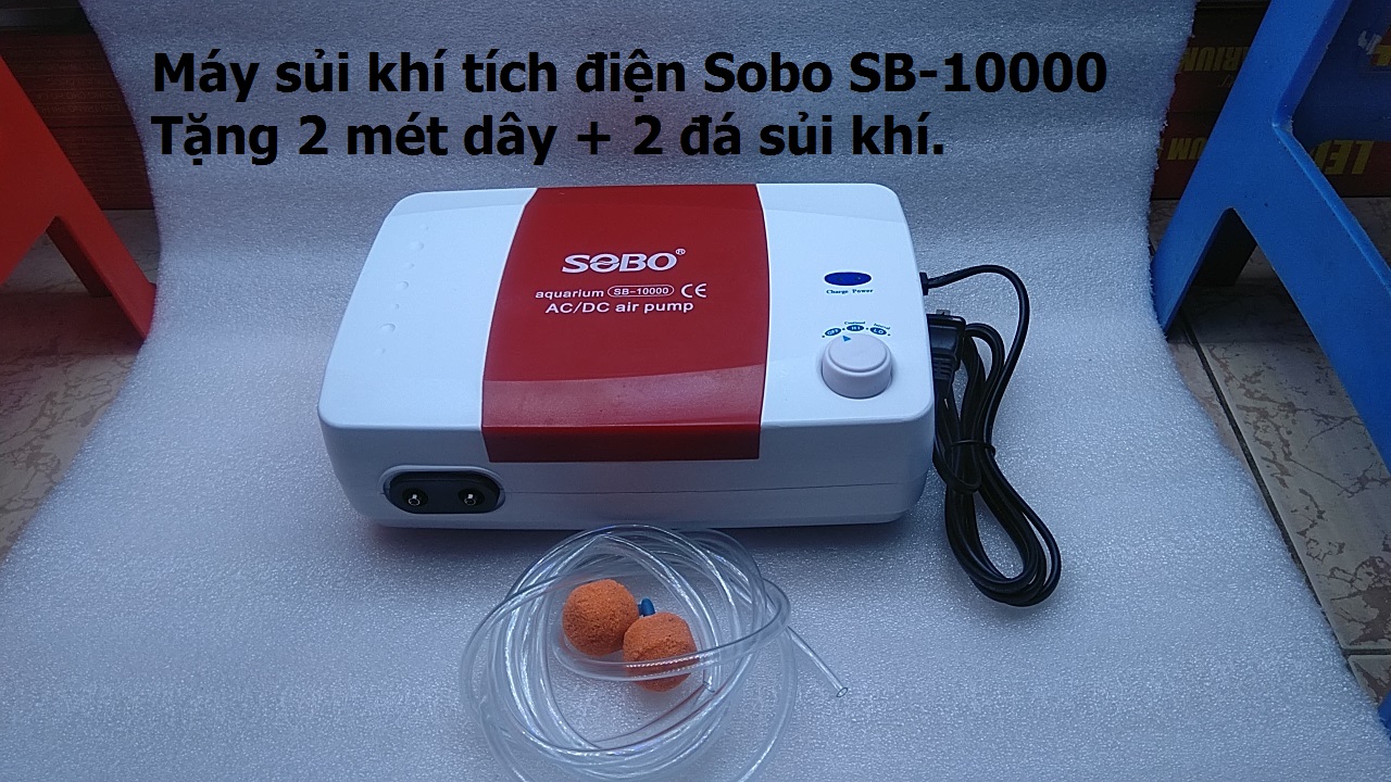 Máy sủi khí tích điện SOBO dùng cho hồ cá.