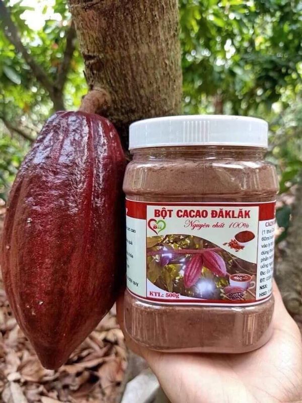 Bột Cacao Dak Lak Nguyên Chất Loại 1 Thơm Ngon Bổ Dưỡng Giúp Tăng Cân Hoặc Giảm Cân Hộp 500g Anan - 