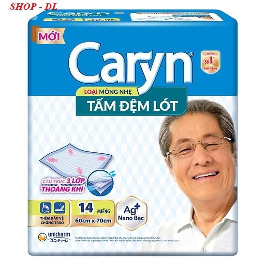 Tấm Đệm Lót Caryn XL 14 (60x70cm), Thiết Kế 4 Chiều Thông Minh Hiện Đại, Chống Trào Lưng Hiệu Quả, Hạn Chế Vi Khuẩn Khử Mùi Tốt