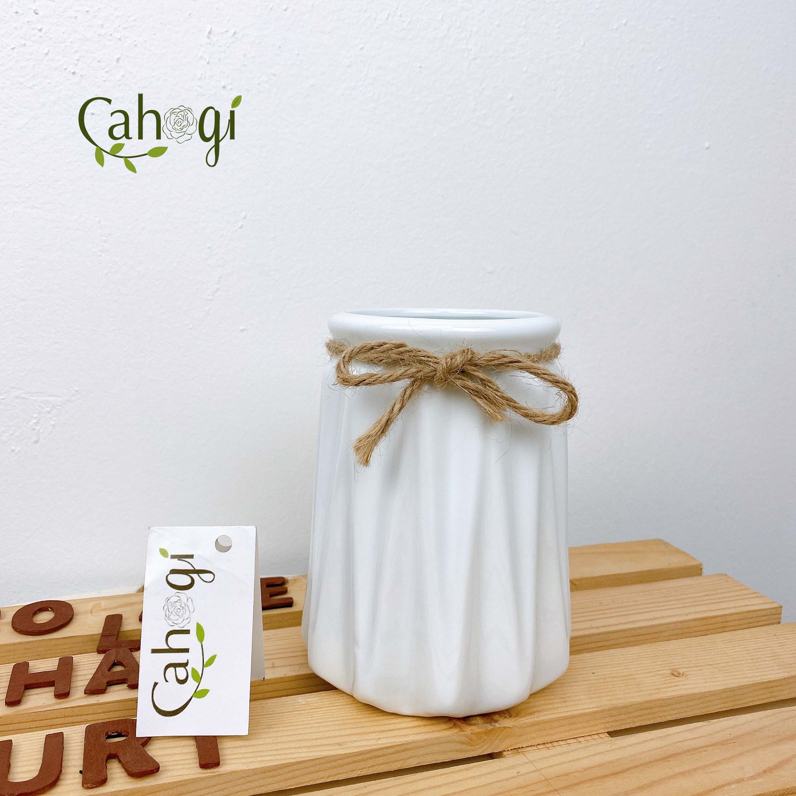 Bình sứ sọc dứa cắm hoa