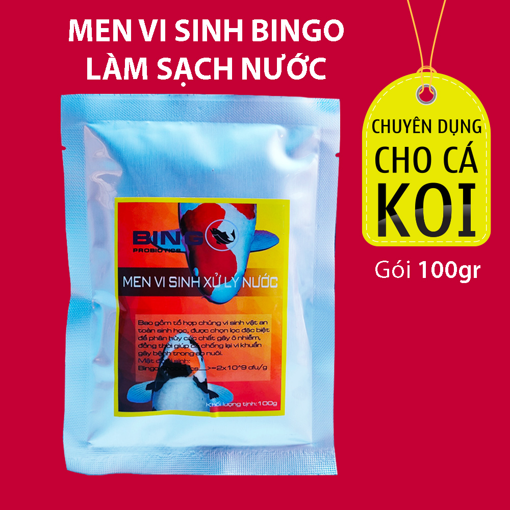 Men vi sinh tốt cho hồ cá koi Bingo vi sinh làm trong nước hồ cá Koi được ưa chuộng hiện nay gói 100gr