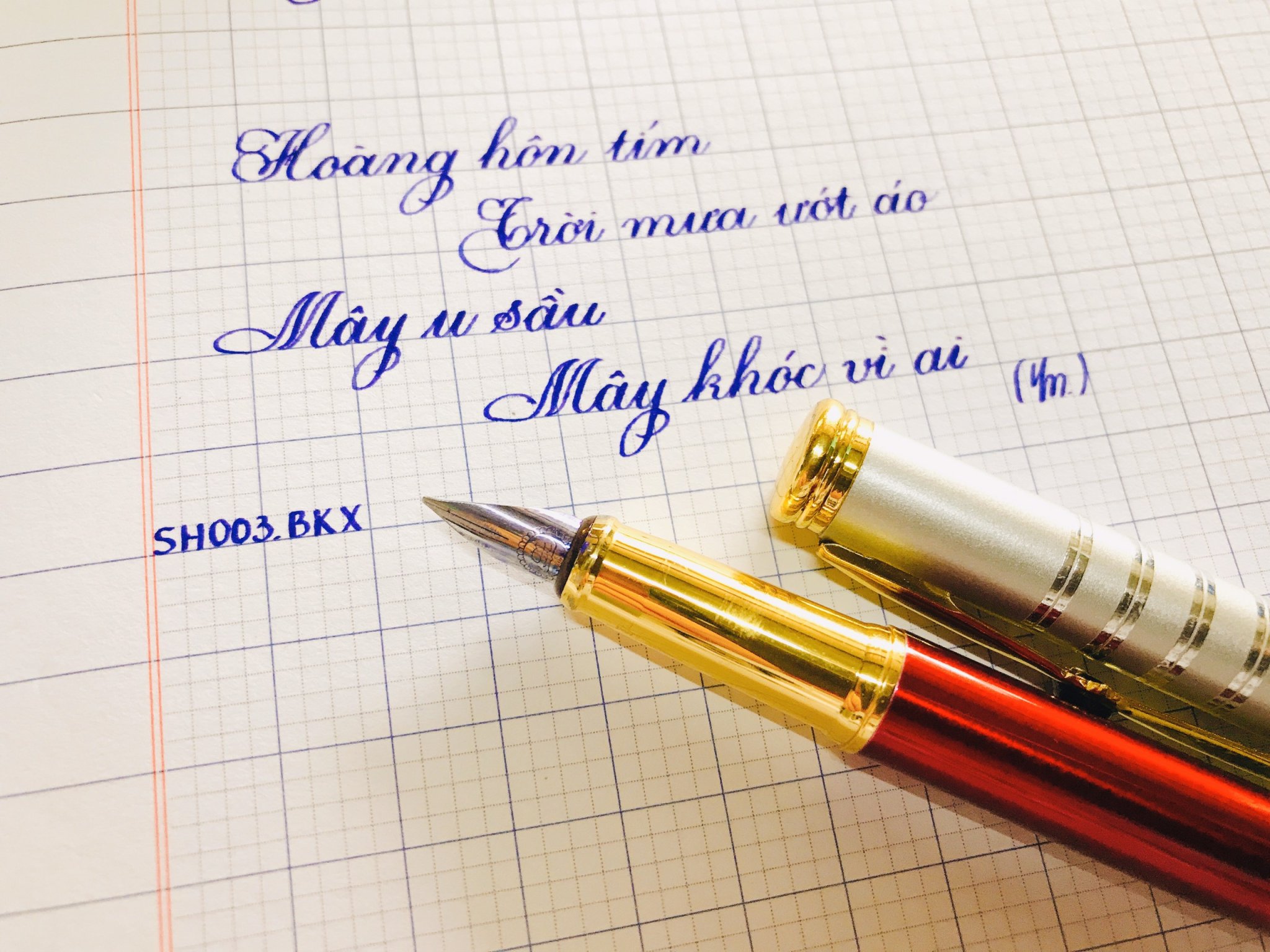 ☘️ Bút mày Thầy Ánh SH003 ngòi mài thanh đậm