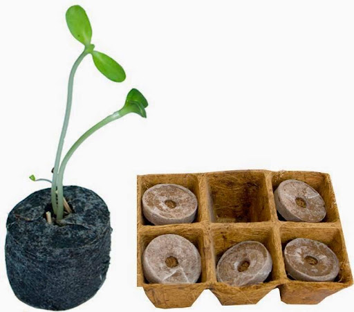 100 viên nén xơ dừa viên nén ươm hạt giá rẻ