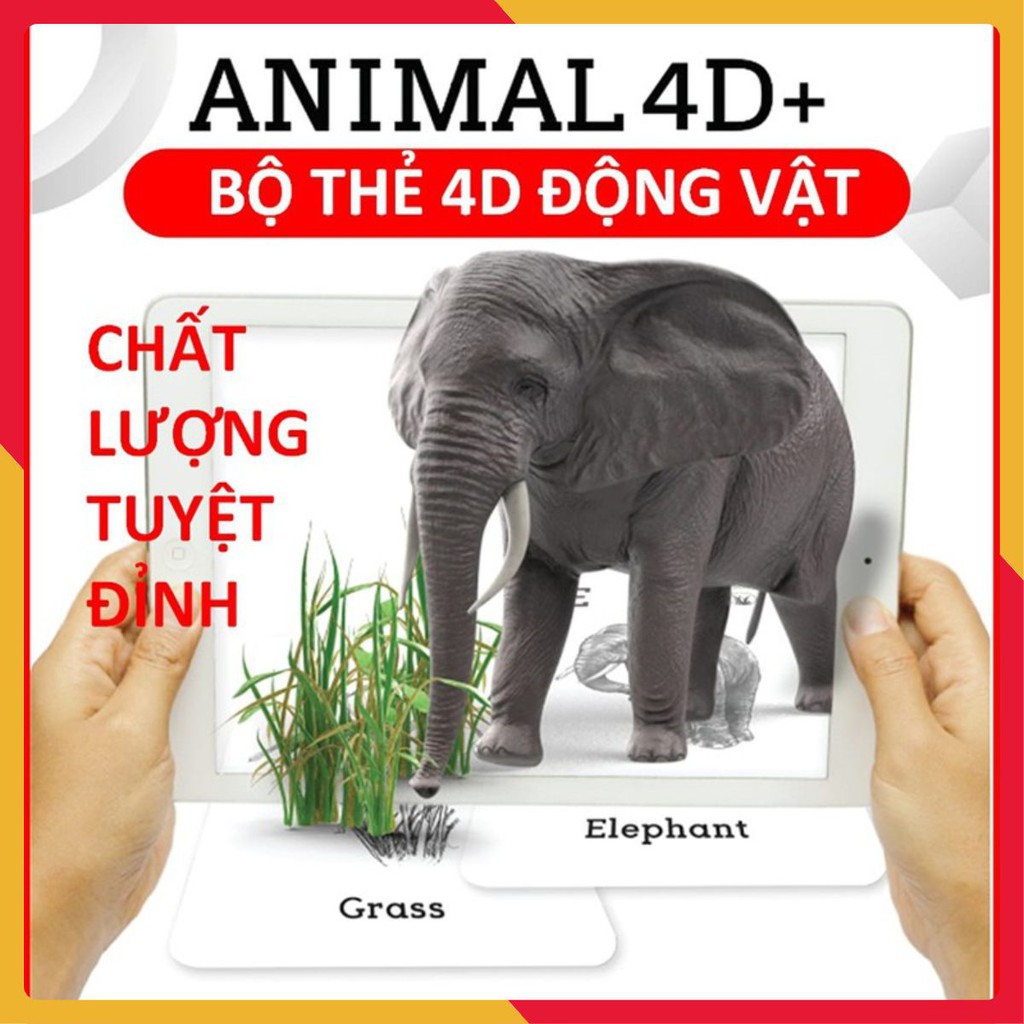 Bộ thẻ hình ảnh animal 4d cho bé - 31 thẻ