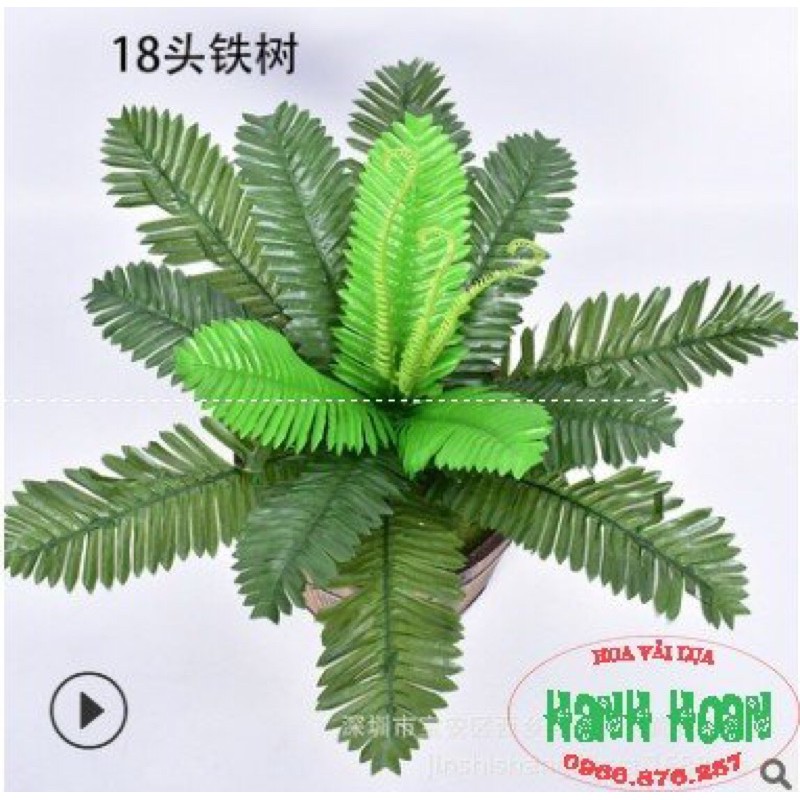 Cây vạn tuế 12 nhánh - Cây giả