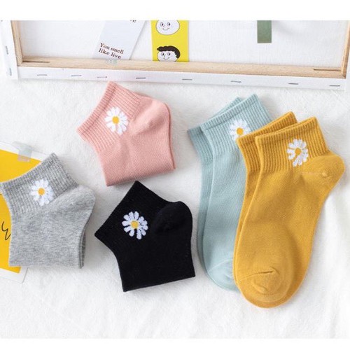 Hàng tặng không bán- Tất vớ nam nữ chất cotton trơn nhiều màu