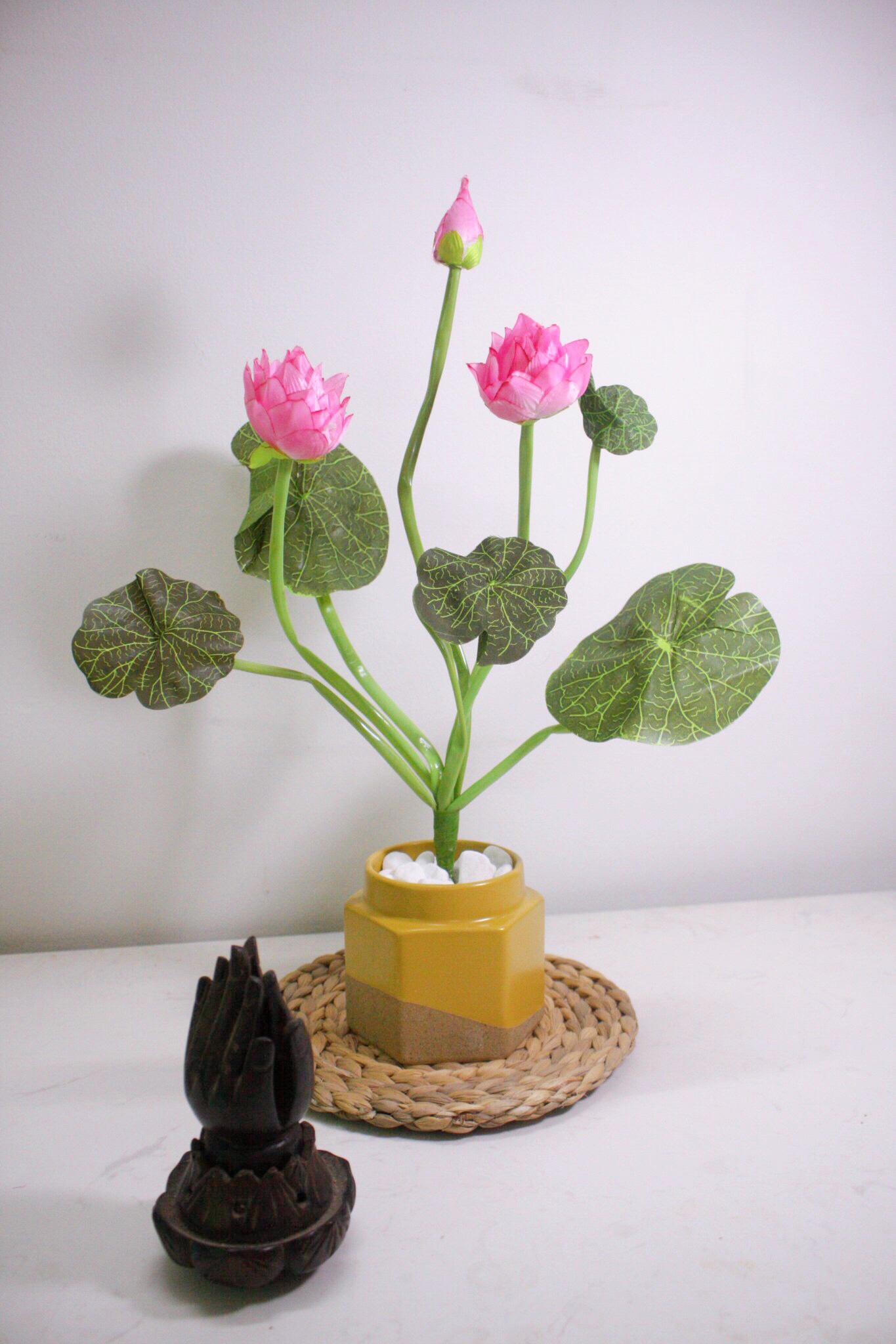 Chậu sen thái mini - sen giả, sen trang trí - decor đẹp mắt và sang trọng