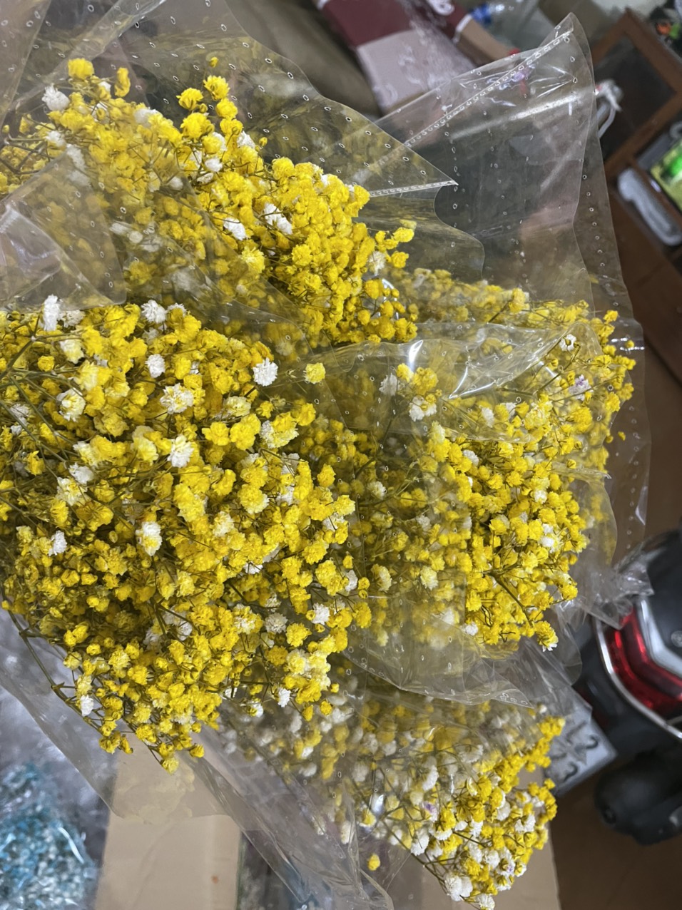 [HCM]HOA BABY KHÔ Bó 100g