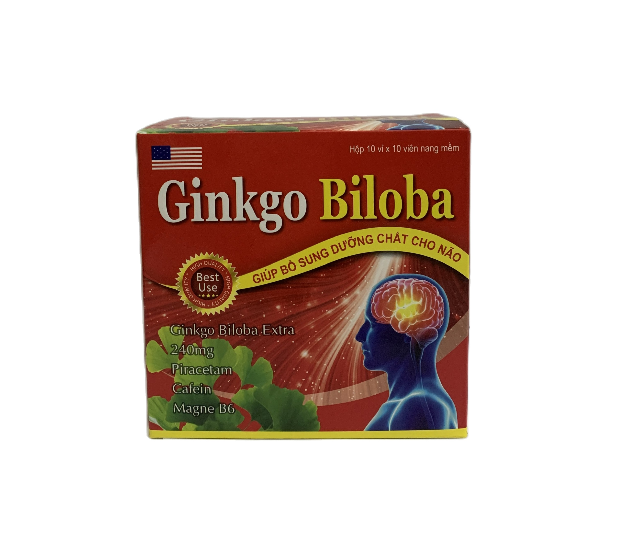 Viên bổ não Ginkgo Biloba - Hết lo đau đầu mất ngủ