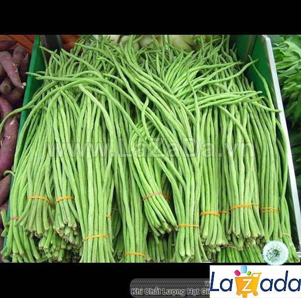 Bộ 5gói 20gr hạt giống đậu đũa xanh