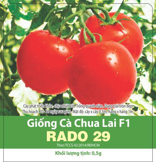 Hạt Giống Cà Chua Quả To Ngon, Dễ Trồng (0.5gr)