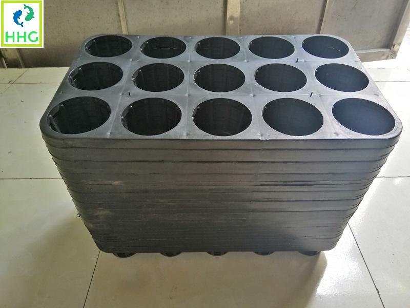 10 KHAY NHỰA CỨNG 15 LỖ TRỒNG RAU ƯƠM MẦM