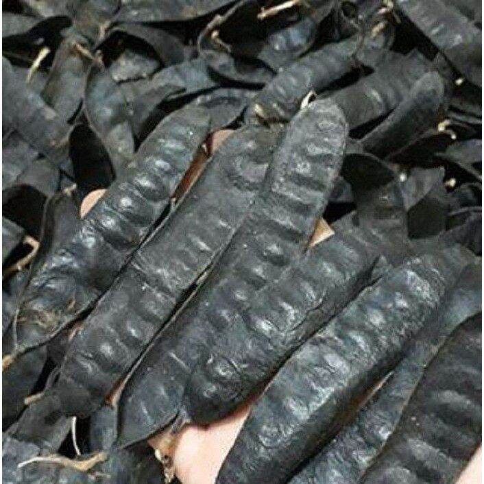 100gr trái bồ kết khô gội đầu mượt tóc vintage.