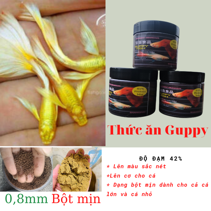 Thức ăn cho cá bảy màu , tăng cơ, lên màu - hộp 150g.