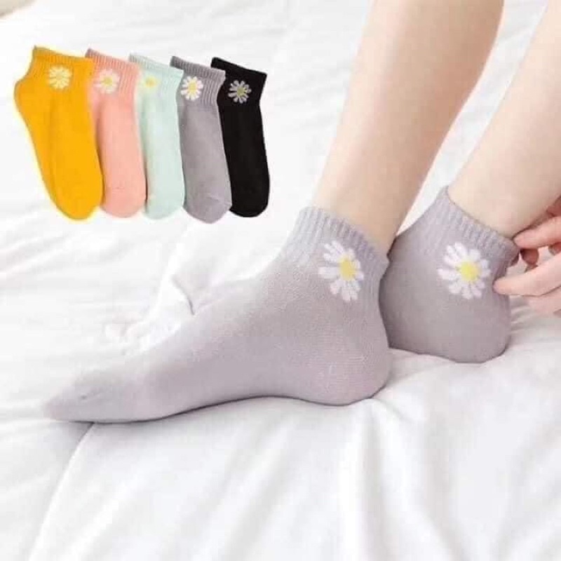 Tất vớ hoa cúc set 10 đôi kèm túi rút - kho gia dung 6886