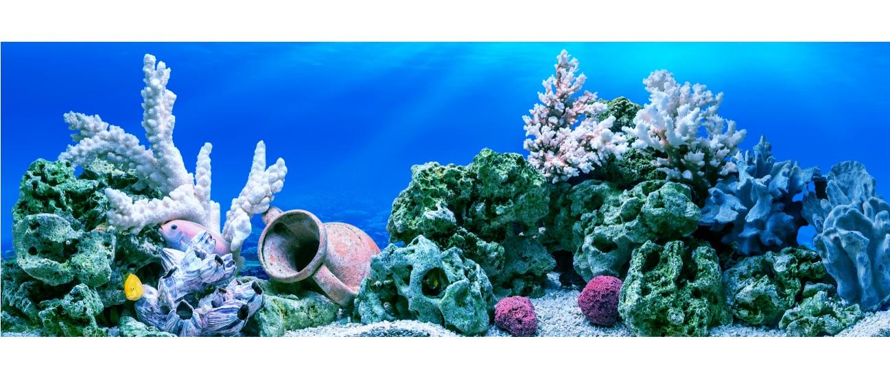 Tranh phông nền vtc dán hồ cá, bể thủy sinh aqua_053 kt 120 x 60 cm