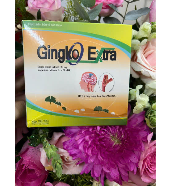 Viên Uống Gingko Extra Giúp Tăng Cường Tuần Hoàn Máu Não