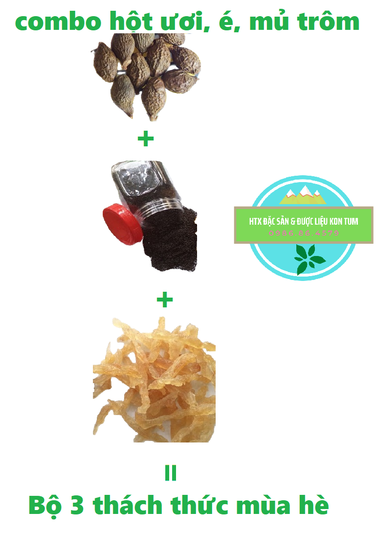 400gr Set mix Hạt đười ươi - Hạt é - Mủ trôm giải khát thanh nhiệt mùa hè