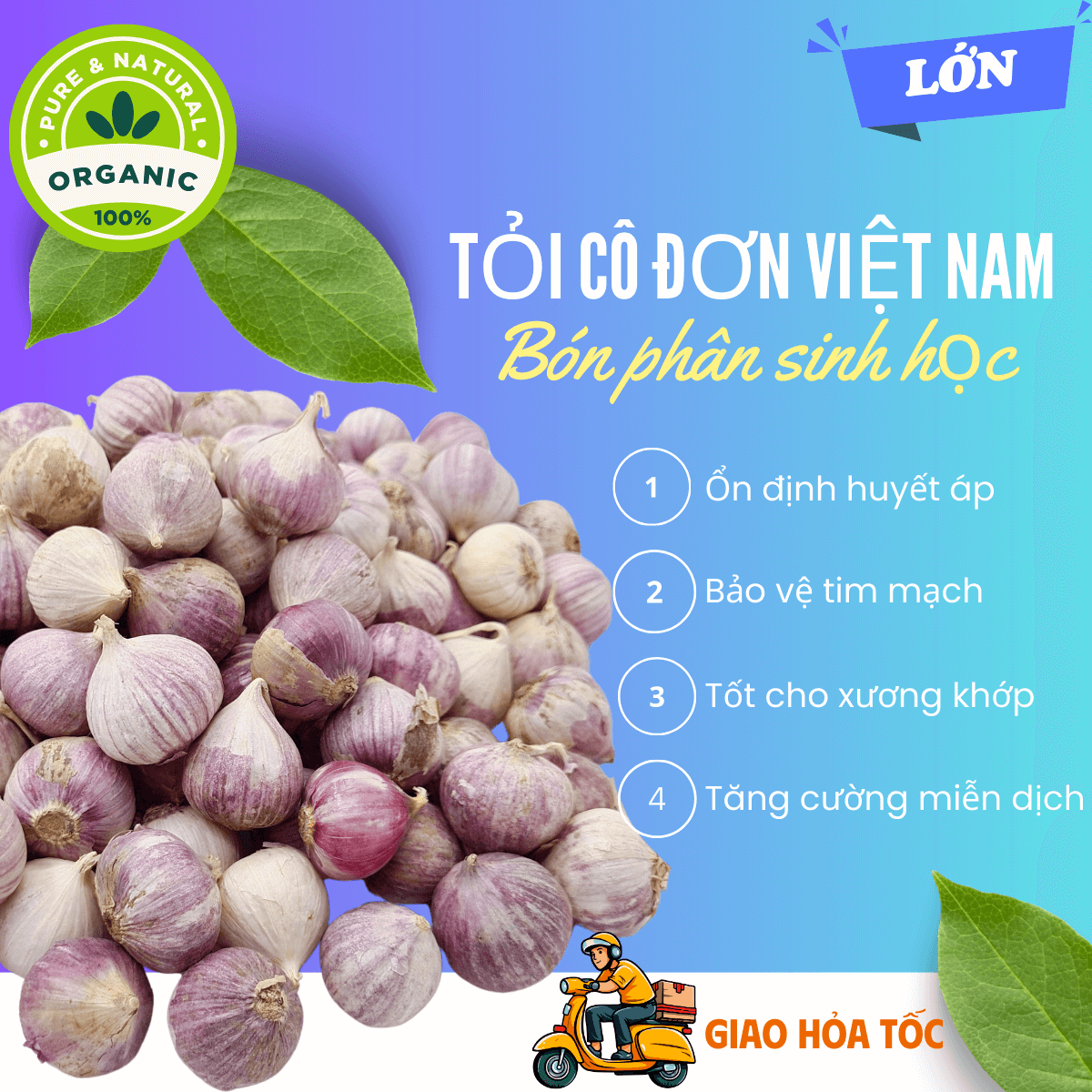 [Organic] [HCM] 1kg Tỏi cô đơn Việt Nam, tỏi mồ côi thơm ngon, tỏi 1 nhánh chắc củ loại LỚN không hóa chất tăng trưởng, tốt cho sức khỏe - thương hiệu VỢ CHỒNG TÔI