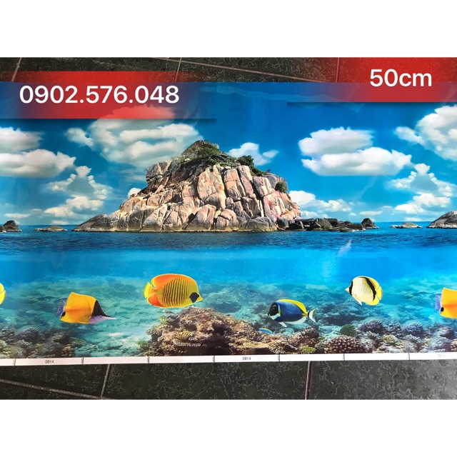Tranh hồ cá cao 50cm 1m