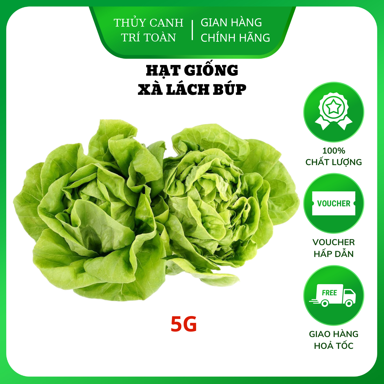 Hạt giống Xà Lách Búp dễ trồng, nhanh thu hoạch - Hạt giống Rạng Đông