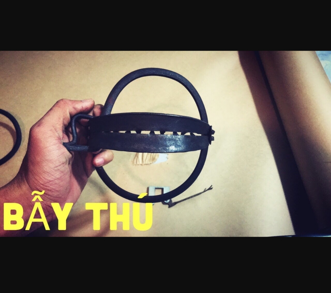 Bẫy thú rừng 20cm tặng bàn đạp