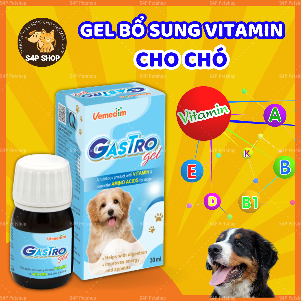 Gastro Gel hỗ trợ tiêu hóa kích thích thèm ăn, cung cấp đầy đủ dưỡng chất vitamin thiết yếu hàng ngày cho chó mèo