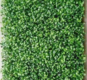 Thảm tường cỏ nhân tạo lá xoong loại 1 full cỏ 308 (40x60)