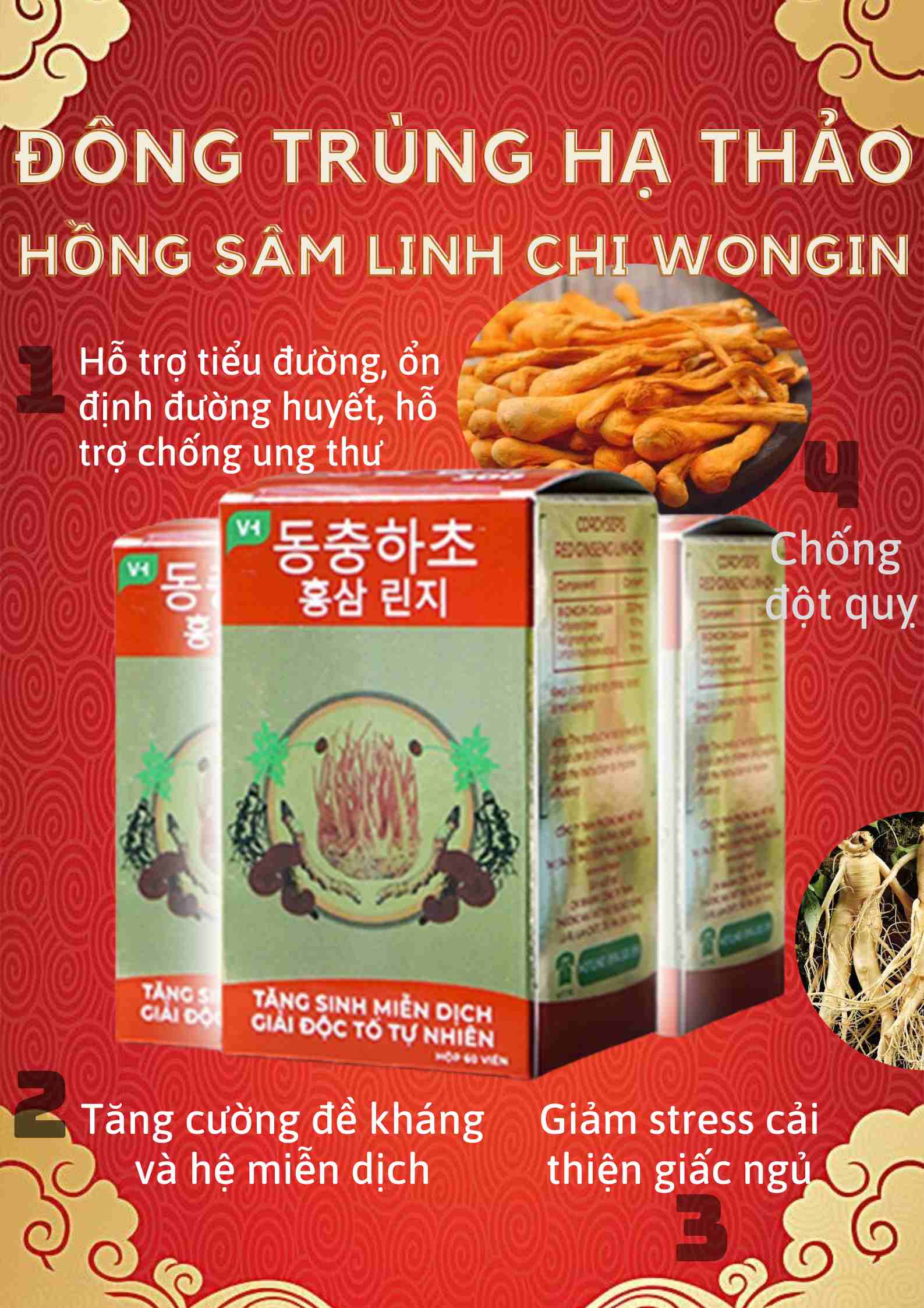 Đông trùng hạ thảo hồng sâm linh chi wongin plus