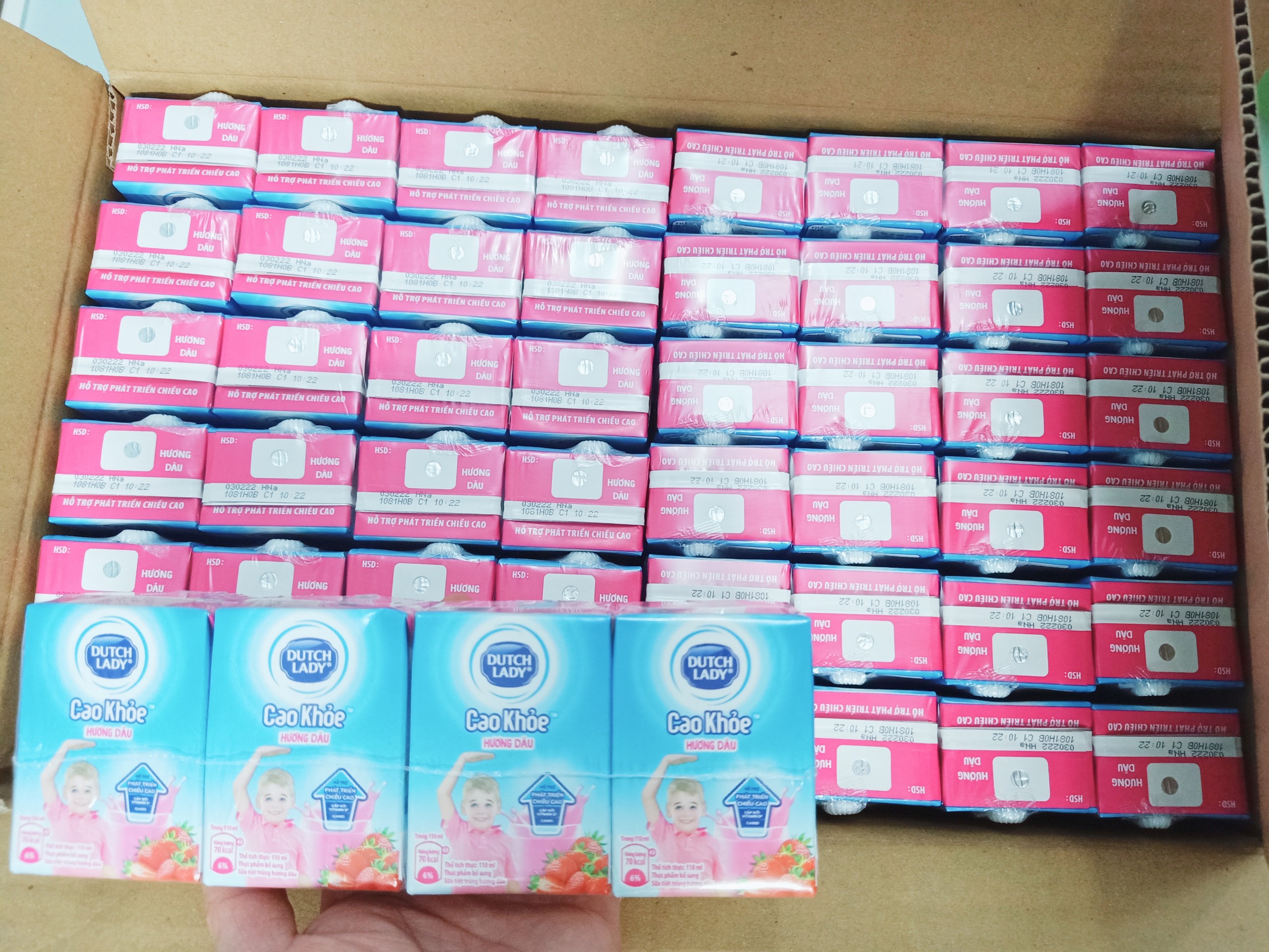 Thùng 48 hộp sữa cô gái Hà Lan vị dâu, sữa cao khoẻ hộp 110ml  DATE 2022