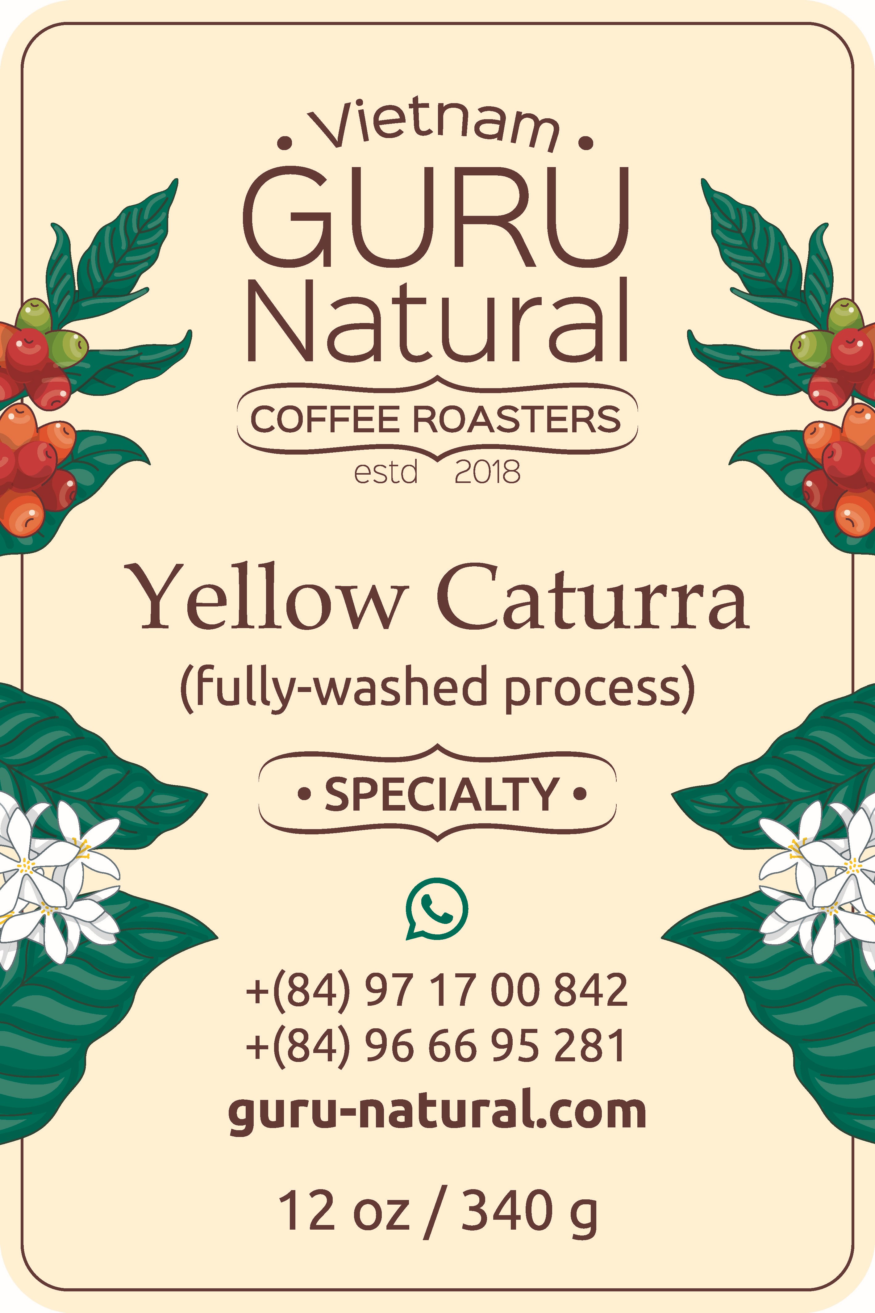 Yellow Caturra Specialty Coffee, fully-washed process. GURU Natural Coffee
