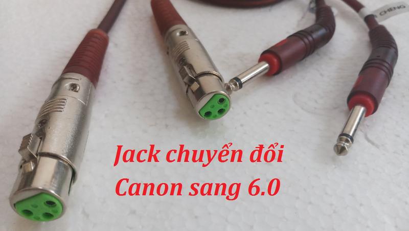 Combo 2 dây chuyển đổi tín hiệu canon sang 6.0 - cn6.0