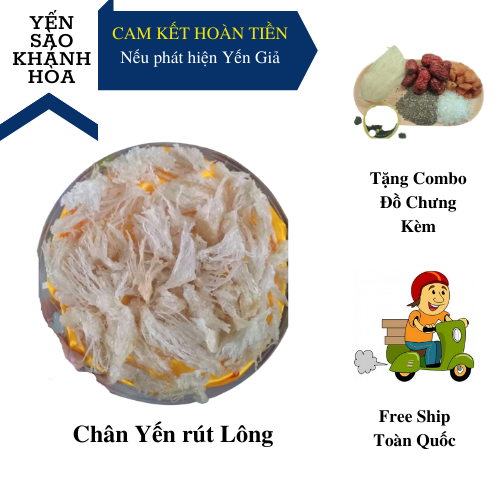 Chân Yến Rút Lông 100gram - Yến Sào Khánh Hòa - Tặng Kèm Táo đỏ, Hạt Chia, Long Nhãn, Đường Phèn, Cẩm Nang