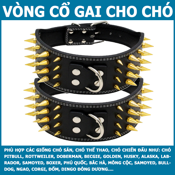 Vòng cổ cho chó becgie, pitbull, rottweiler, boxer, labrador, golden