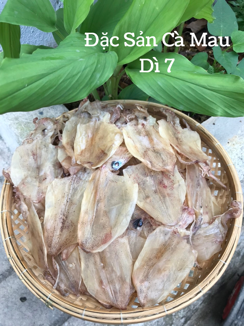 [500Gram] Khô mực đồng tiền dùng nướng ăn vặt, nấu canh, nấu mì, nấu súp đều ngon