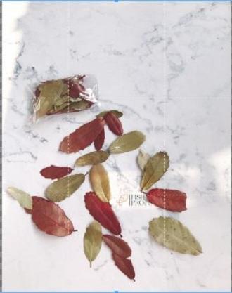 Phụ kiện gói lá cây - đạo cụ chụp ảnh phụ kiện trang trí