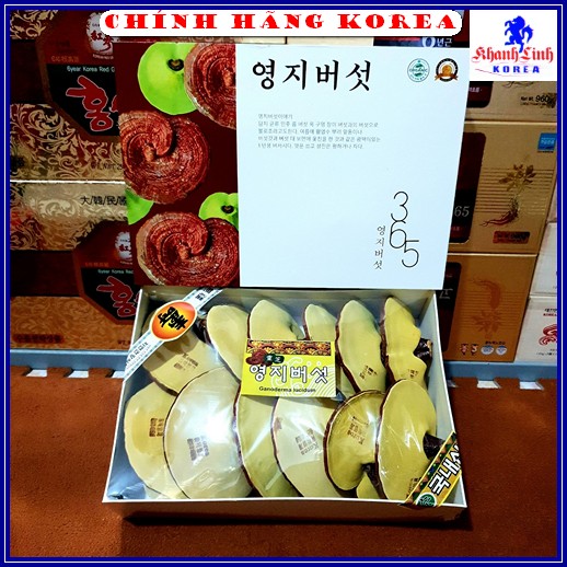 Nấm linh chi 365 hàn quốc thượng hạng, hộp 1kg - Nấm vàng chanh Vip - Thanh nhiệt thải độc, phòng ung thư, khanhlinh