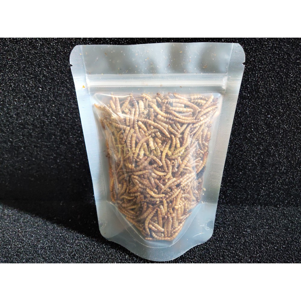 Sâu Super Worm sấy thơm cho hamster, chim, cá, nhím,...