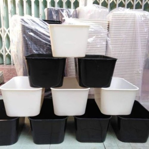 3 khay 7 lít trắng 30x22x16 nuôi cá cảnh