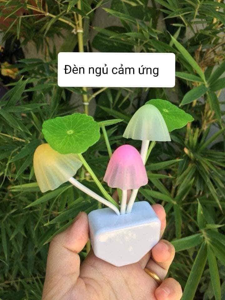 ĐÈN NGỦ CẢM BIẾN HÌNH CÂY NẤM