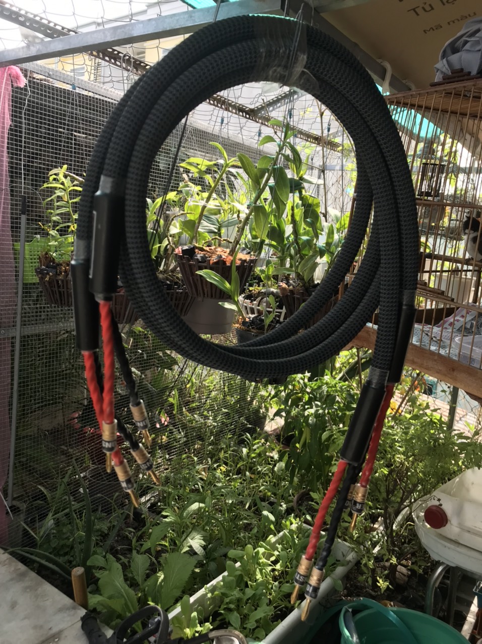 [HCM]Dây loa Monter  hàng bãi USA