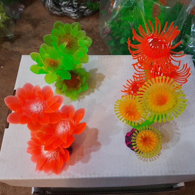 Rong mini để hồ cá, bể cá, thủy sinh, cảnh giả.
