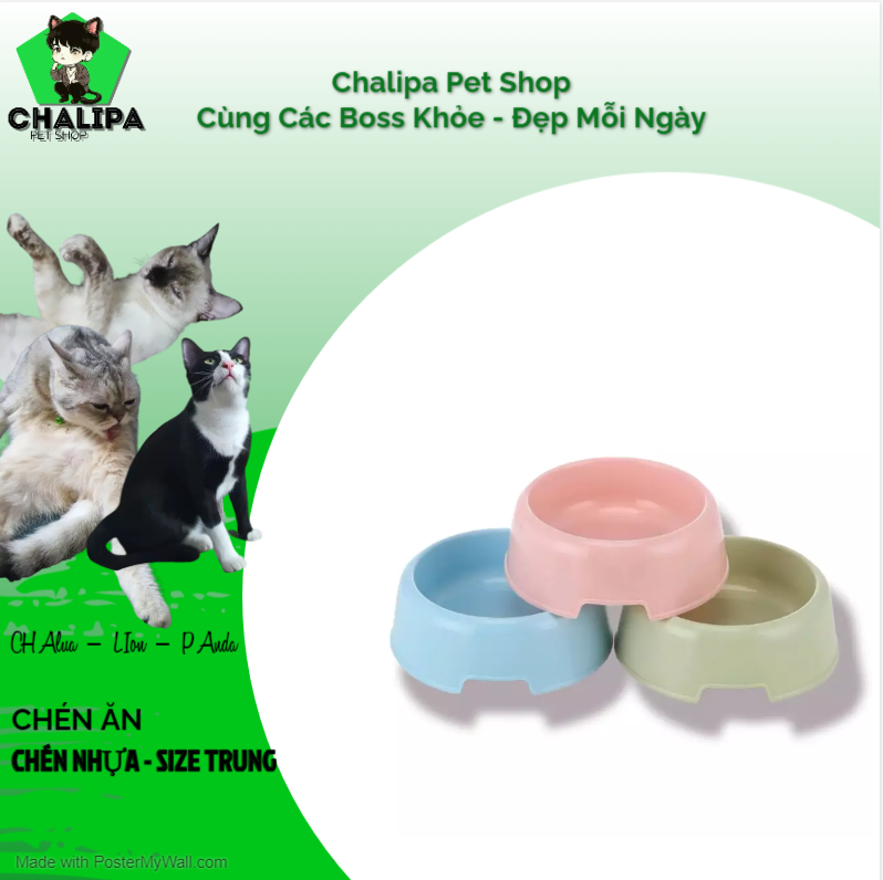 Bát ăn đơn dành cho thú cưng