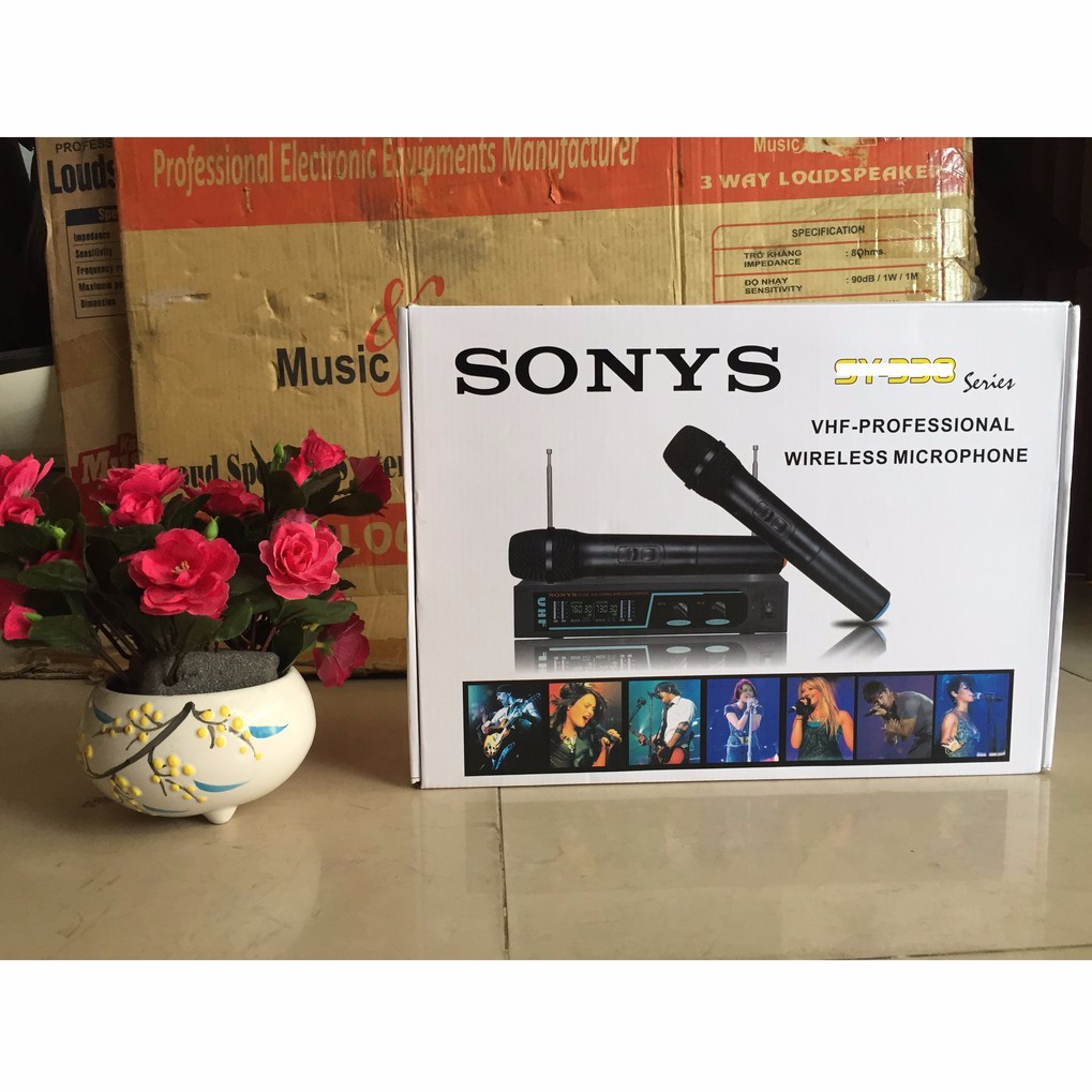 2 Micro ko dây của SONY 338 hát karaoke hay